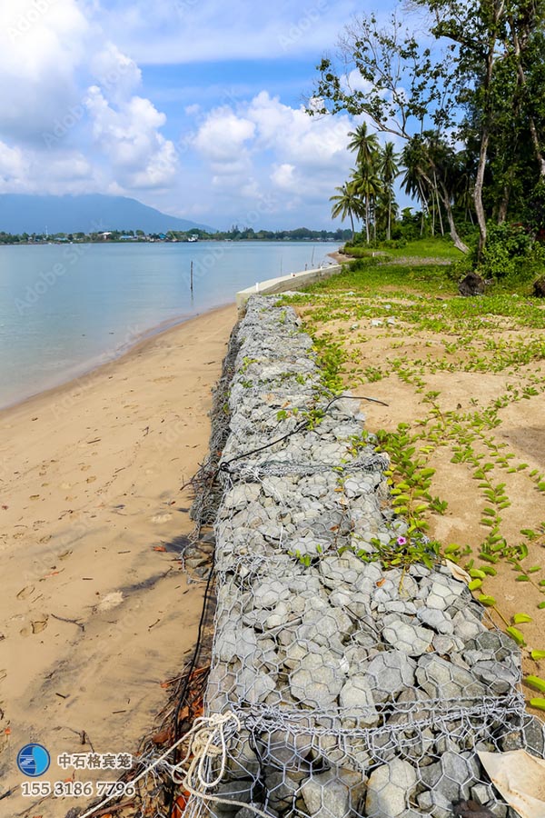 雷諾護(hù)墊 雷諾護(hù)墊